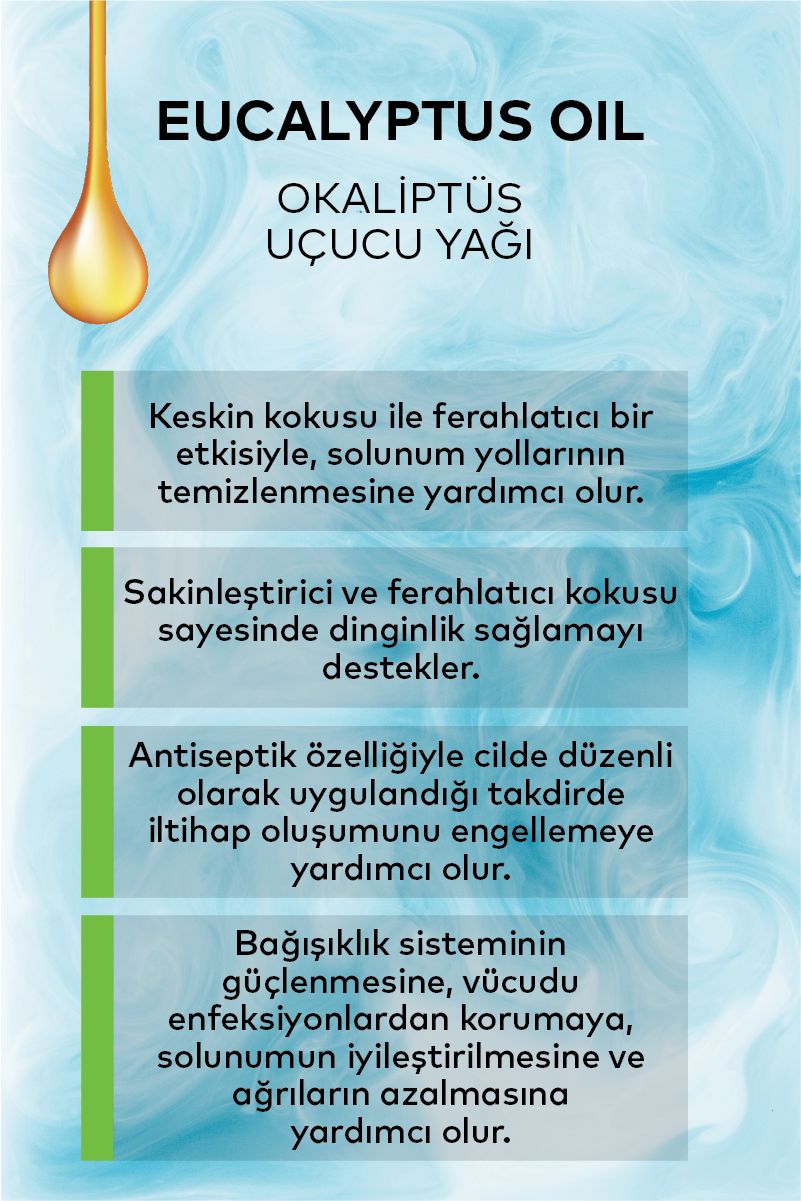 Okaliptüs Uçucu Yağı 20 ML