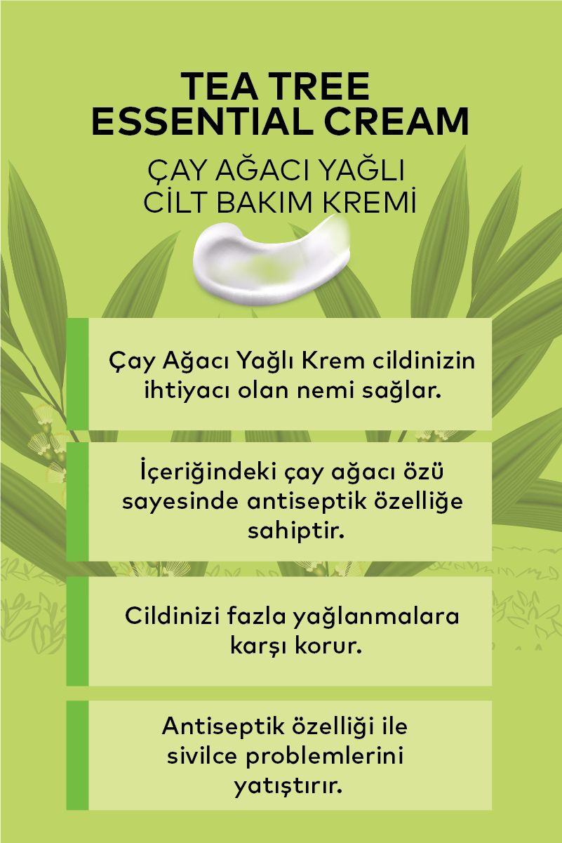 Çay Ağacı Kremi 100 ML